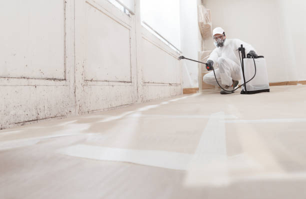 24/7 Emergency Attic Mold Removal experts in Libertyville, IL