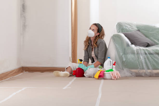 Reliable Attic Mold Removal contractor in Libertyville, IL by WQB Mold Removal